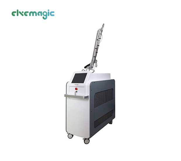 Picosecond Laser EM 303