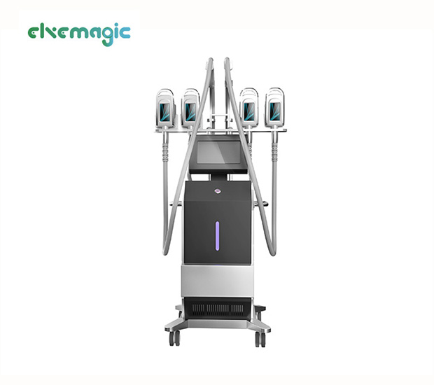 Cryolipolysis Slimming Machine-EM 405